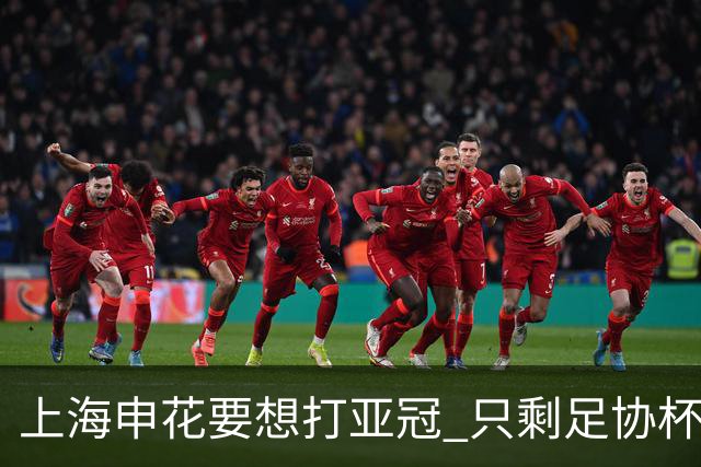 上海申花要想打亚冠 只剩足协杯夺冠一条路