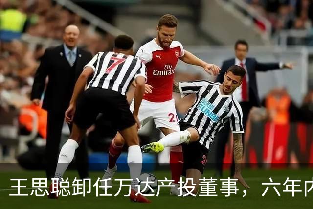 王思聪卸任万达产投董事，六年内已三度退出“万达系”决策层